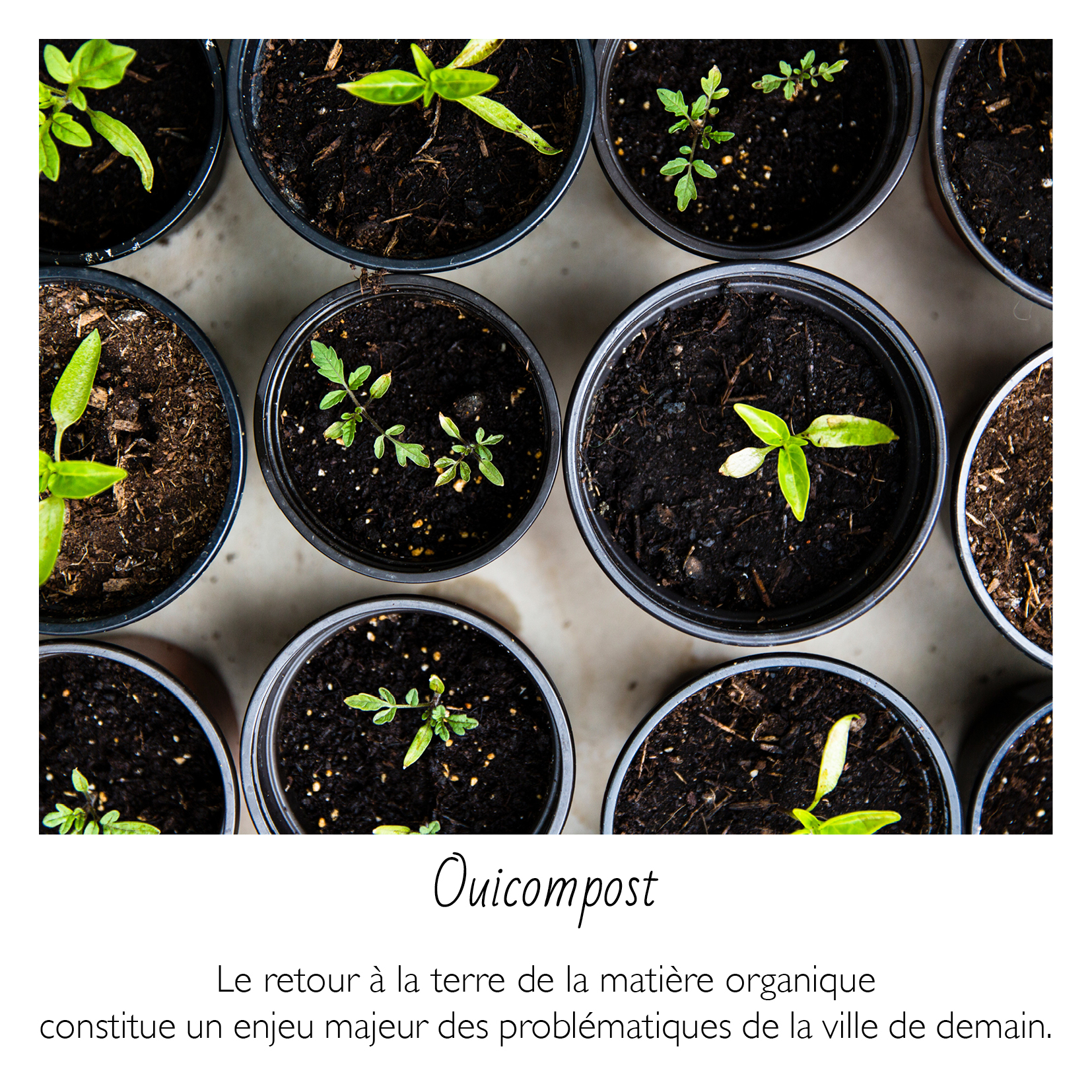 oui compost